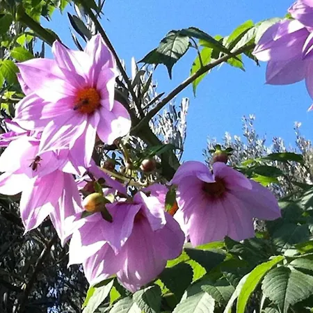 Apartment In Finale Ligure Near The Sea Apartment