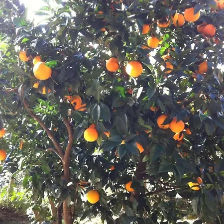 Apartment In Finale Ligure Near The Sea Apartment Finale Ligure