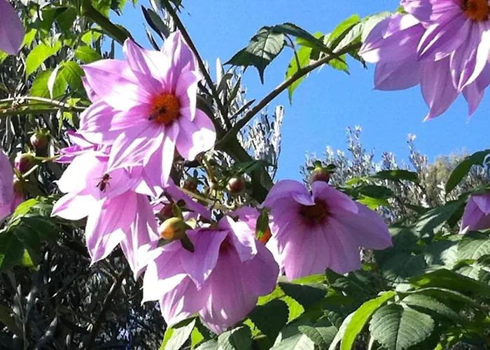 In Near The Sea Apartamento